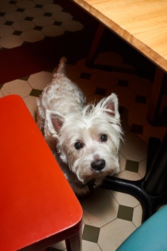 Un profil de business, vă rog: Energiea