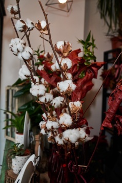 La pas prin cartier: Eva’s Flowers, locul unde este mereu primăvară