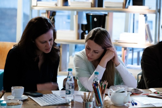 JURIUL INTERNETICS 2018 // ILEANA CIPCA