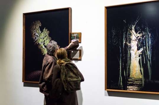 O nouă serie de conferințe din culisele expoziției Arbori Bătrâni