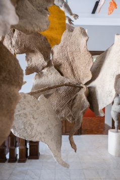 4321 START // YOUNG CREATIVES SHARING THEIR EXPERIENCE @DIPLOMA: DAIANA CRĂIȚA SAVOPOL