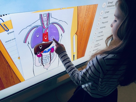 INTERNETICS MONTHLY REVIEW - FEBRUARIE 2019