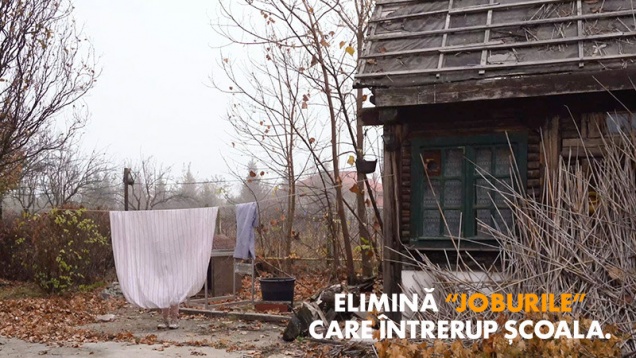 TOP 3 ADC*RO // IANUARIE & FEBRUARIE 2019