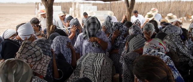 ”Păsări Călătoare” în cinematografele din România