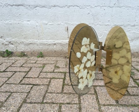 STARDUST ARCHITECTS*