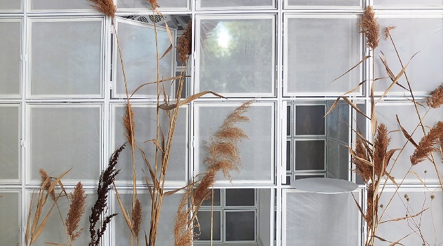 STARDUST ARCHITECTS*