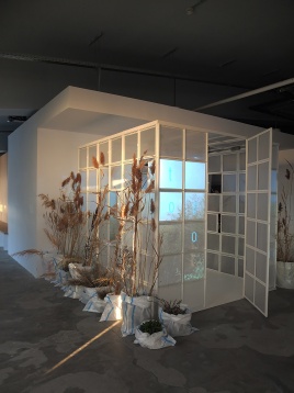 STARDUST ARCHITECTS*