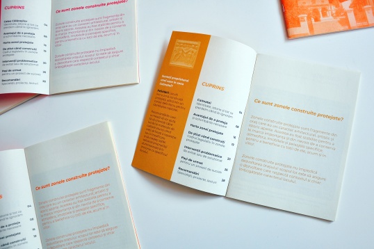 TUDOR ELIAN & MATEI EUGEN STOEAN