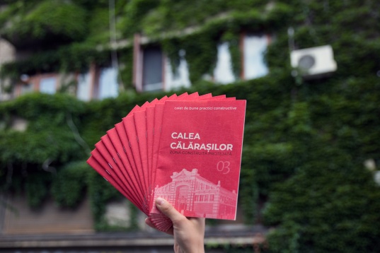 TUDOR ELIAN & MATEI EUGEN STOEAN