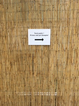 PIXELATERIA // COMUNITATEA PIXELATERIA