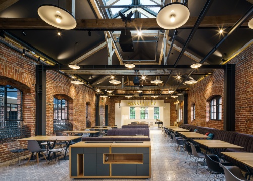 Filofi şi Trandafir: Diversitatea proiectelor şi a temelor este un lucru care ne antrenează şi ne bucură totodată