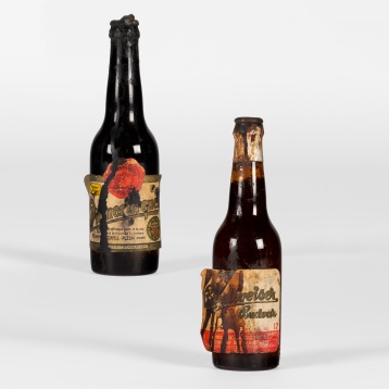 Czechoslovak Home – Cehia din casele noastre