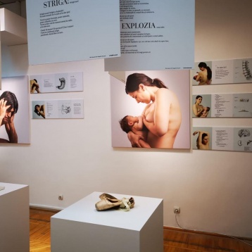 TOP 3 ADC*RO // MAI 2019