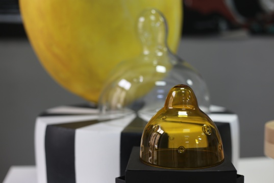 Carla Szabo despre proiectul NOI