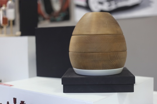 Carla Szabo despre proiectul NOI