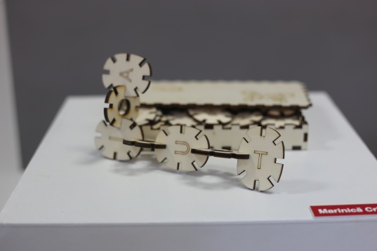 Carla Szabo despre proiectul NOI