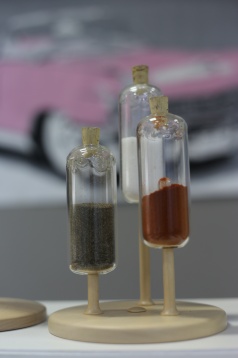 Carla Szabo despre proiectul NOI