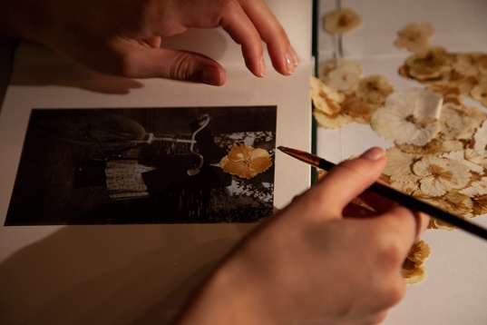 Next Steps after DIPLOMA @Doina Domenica Cojocaru Thanasiadis