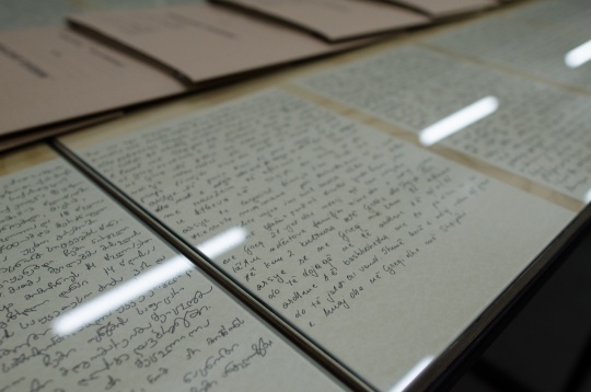 Next Steps after DIPLOMA @Doina Domenica Cojocaru Thanasiadis