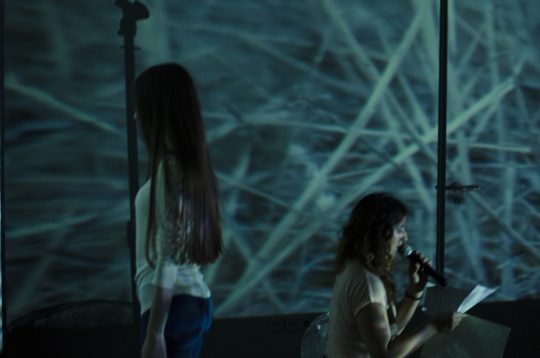 Next Steps after DIPLOMA @Doina Domenica Cojocaru Thanasiadis