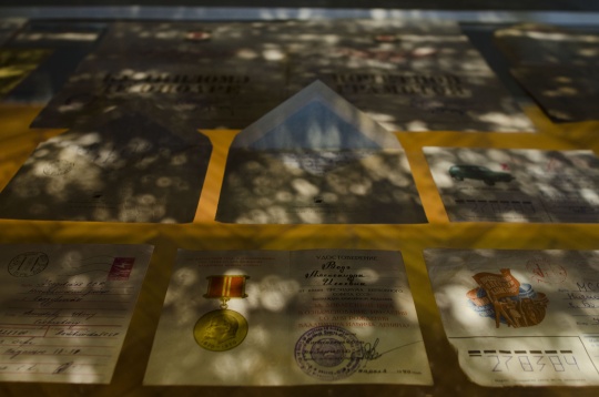 Next Steps after DIPLOMA @Doina Domenica Cojocaru Thanasiadis