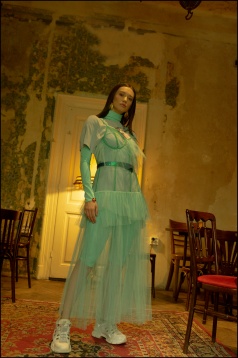 Next Steps after DIPLOMA @Elena Vanghelici 