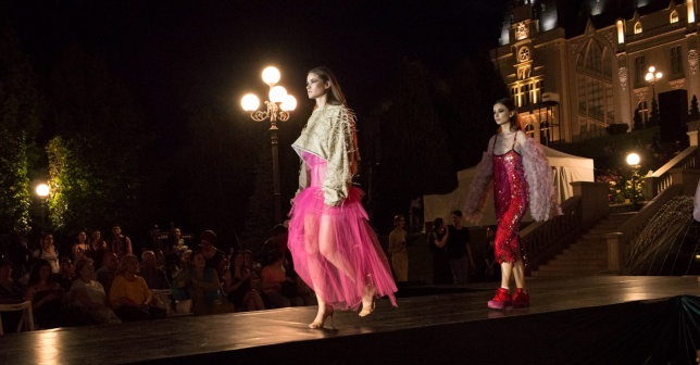 Next Steps after DIPLOMA @Elena Vanghelici 