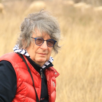 Avanpremiera participării României la EUROPALIA, cu lucrările artiștilor Doina Levintza, Dan Coma și Mihai Țopescu la „Versailles-ul belgian“ 