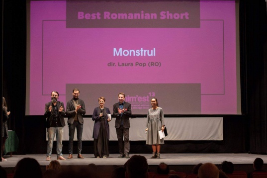 Next Steps after DIPLOMA @Laura Pop