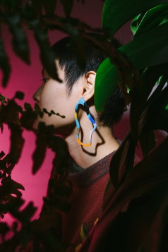 Next Steps After DIPLOMA @Ferencz Borbala