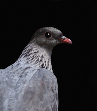 Activări premergătoare deschiderii expoziției Bienalei Art Encounters