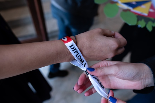 Call for volunteers @DIPLOMA 2019