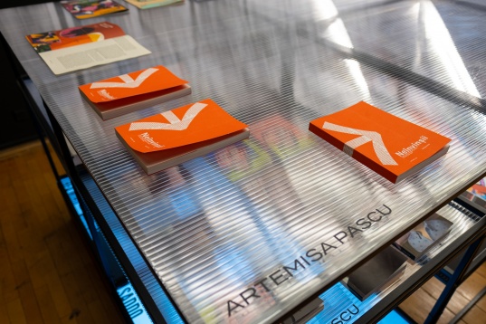 Eyes on Romania la Graphic Days Torino 2019