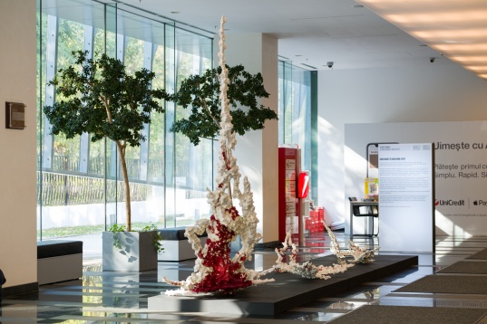 În așteptarea festivalului DIPLOMA, expoziția Bianca înainte de Bianca Mann prezintă traseul artistei