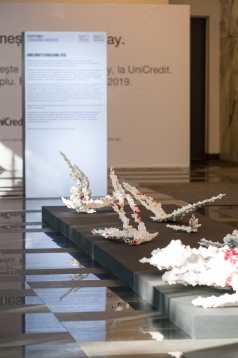 În așteptarea festivalului DIPLOMA, expoziția Bianca înainte de Bianca Mann prezintă traseul artistei