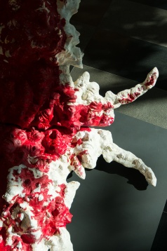 În așteptarea festivalului DIPLOMA, expoziția Bianca înainte de Bianca Mann prezintă traseul artistei