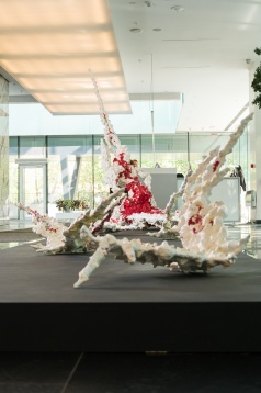 În așteptarea festivalului DIPLOMA, expoziția Bianca înainte de Bianca Mann prezintă traseul artistei