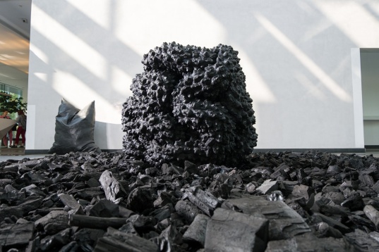 În așteptarea festivalului DIPLOMA, expoziția Bianca înainte de Bianca Mann prezintă traseul artistei