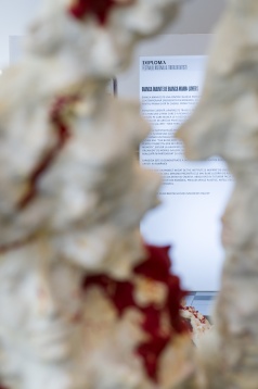 În așteptarea festivalului DIPLOMA, expoziția Bianca înainte de Bianca Mann prezintă traseul artistei