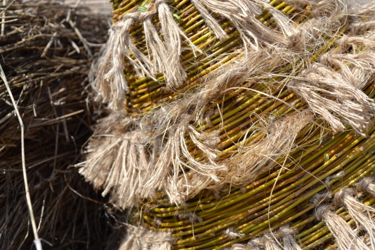 Începe DIPLOMA, festivalul naţional al tinerilor artişti 