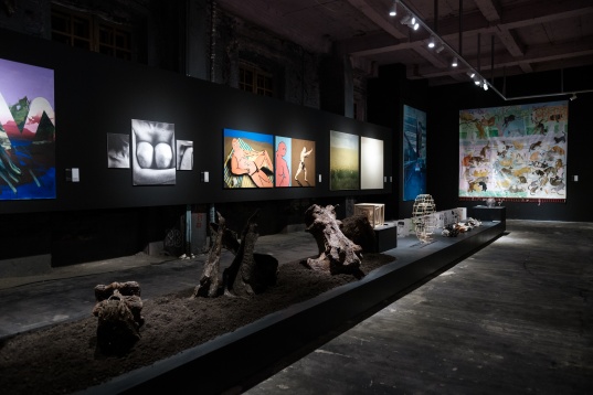 Faceţi cunoştinţă cu următoarea generaţie de artişti la DIPLOMA 2019