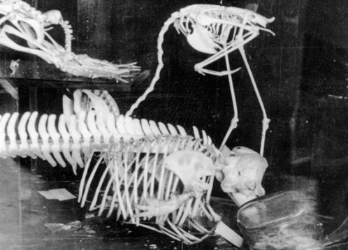 MUZEUL NAȚIONAL DE ARTĂ CONTEMPORANĂ lansează noul sezon expozițional de toamnă 