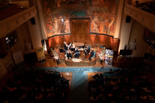 Artiștii Festivalului SoNoRo XIV DaDa