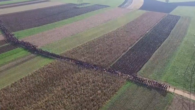 Despre migrație și despre cine suntem atunci când nu mai aparținem, în Competiția Internațională BIEFF 2019