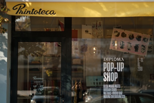 DIPLOMA 2019 a înregistrat peste 10 000 de vizitatori unici