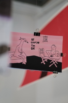 DIPLOMA 2019 a înregistrat peste 10 000 de vizitatori unici