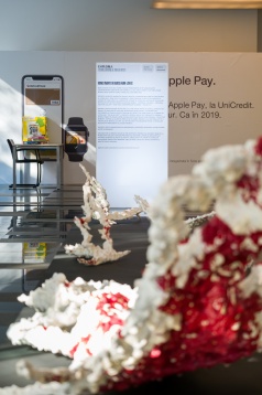 DIPLOMA 2019 a înregistrat peste 10 000 de vizitatori unici