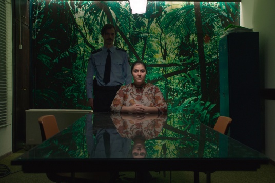 Dumnezeu există și numele lui e Petrunija, din 15 noiembrie în cinematografele din România