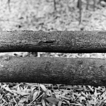 PREMIERĂ | România, la celebrul Paris Photo 2019, cu artista Olivia Mihălțianu și Galeria Anca Poterașu 