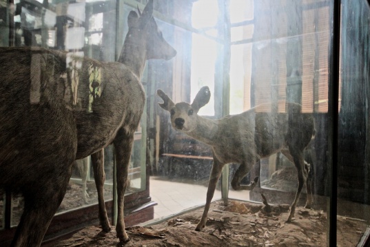 Deployments, o analiză inovatoare a structurilor puterii și controlului,  câștigă Marele Premiu BIEFF 2019